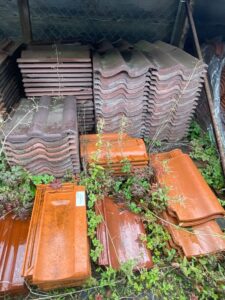 WhatsApp Image 2025-10-12 at 17.53.28