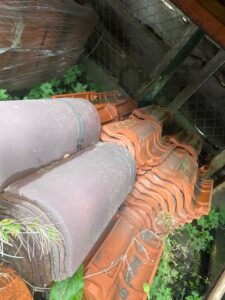 WhatsApp Image 2025-10-12 at 17.53.28 (3)